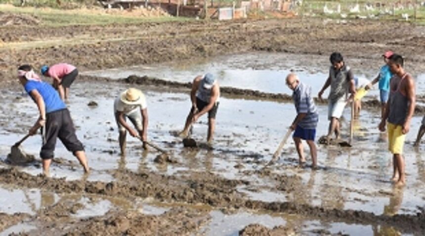 BACK to the ROOTS: BLESSINGS in DISGUISE for agricultural sector