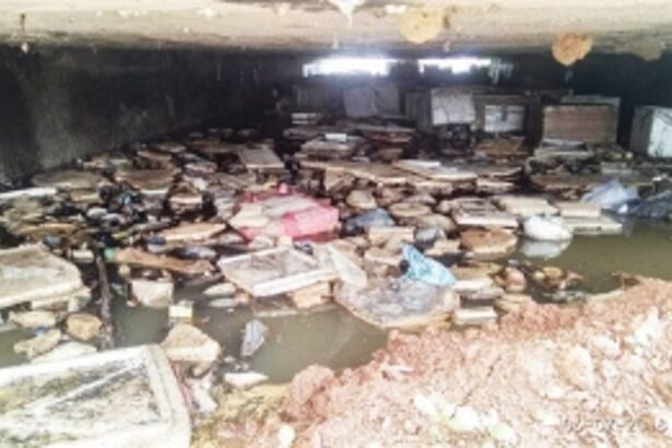 BEYOND FORMALIN, MADEL FISHMART FACES BIOHAZARD BOMB