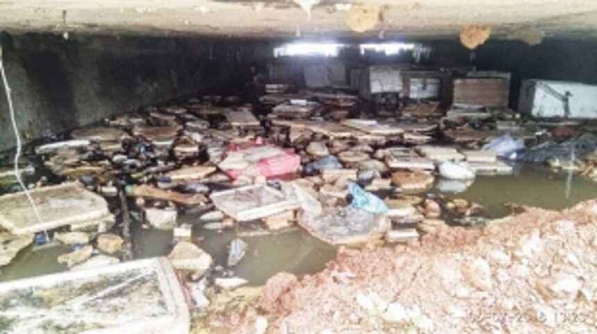 BEYOND FORMALIN, MADEL FISHMART FACES BIOHAZARD BOMB 1 BEYOND FORMALIN, MADEL FISHMART FACES BIOHAZARD BOMB