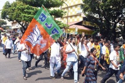 BJP-backed panels steamroll  all others into submission