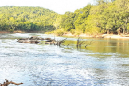 BJP leaders on K'taka campaign trail will be dubbed traitors