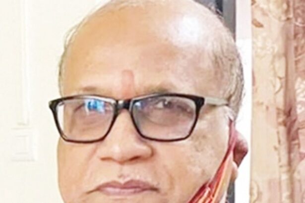 BJP not ready for 3-phase, 440 volts power; wants to avoid bringing 3rd power centre