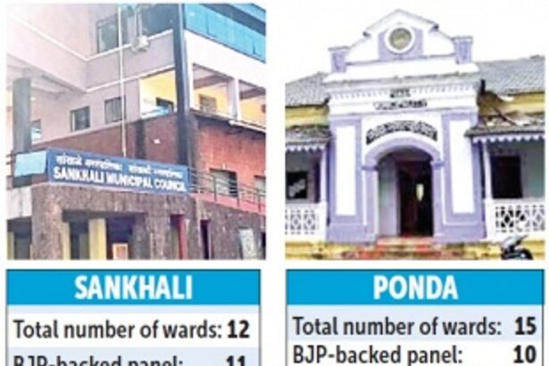BJP scores political brownie points in two civic polls