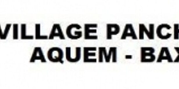 BJP-supported panel to stake claim in Aquem