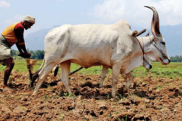 BKS to stage dharna at Kranti Bhavan today