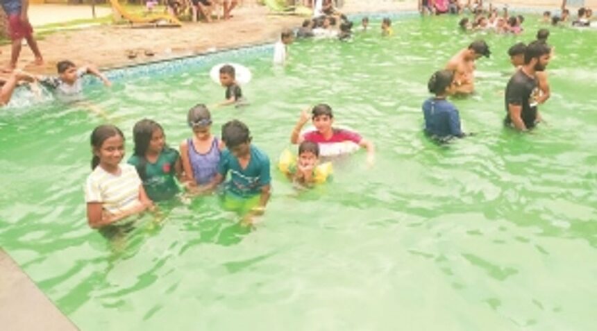 BONDING WITH LOVED ONES OVER A PICNIC LUNCH