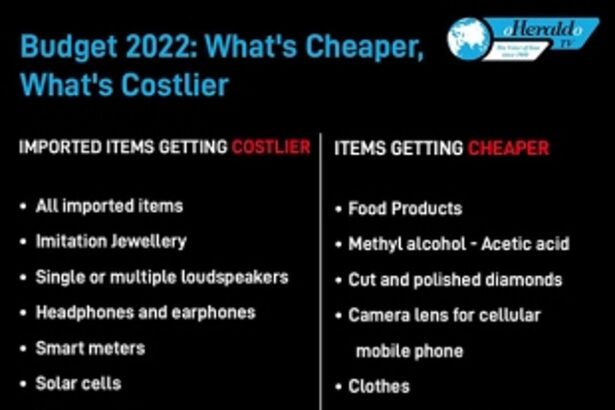 BUDGET 2022: What gets costlier, What gets cheaper