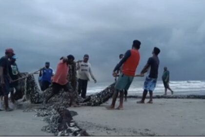BUMPER CATCH: Traditional fishermen from Benaulim returns with a big catch