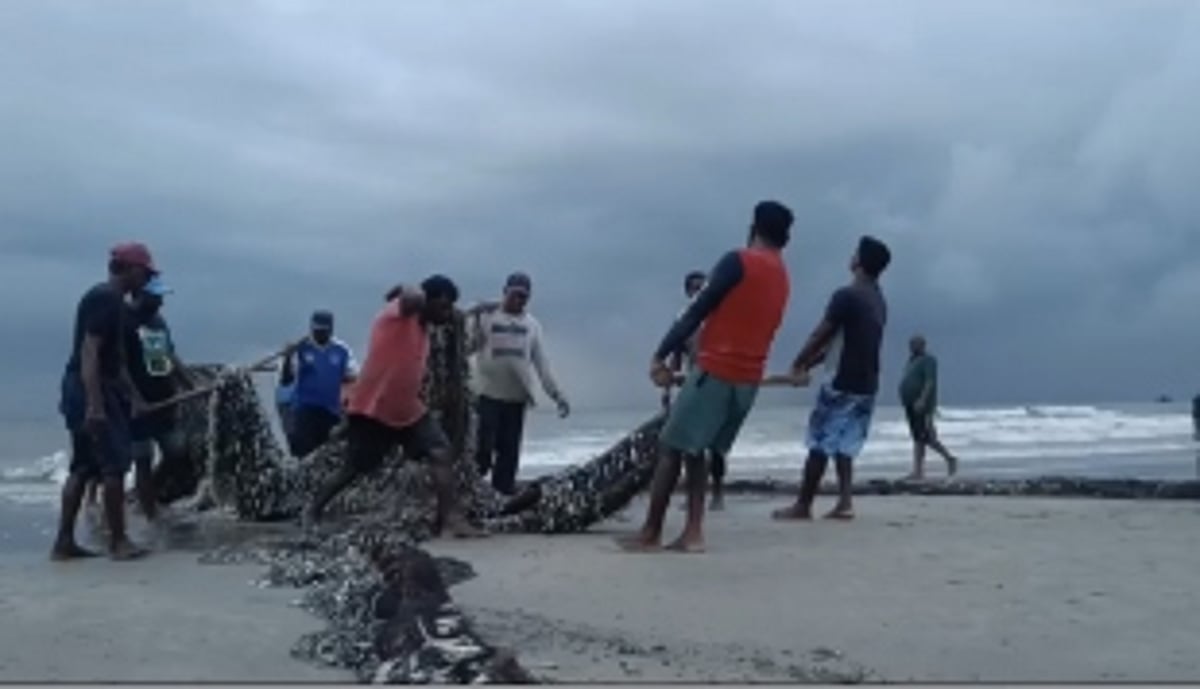BUMPER CATCH: Traditional fishermen from Benaulim returns with a big catch
