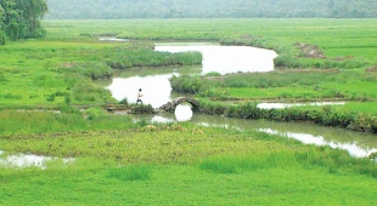 Backlash against Goa govt over Comunidade Code amendment to protect unregularised structures