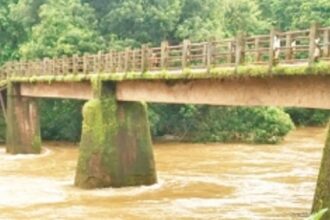 Bagwada Bridge may collapse, fear Morlem villagers