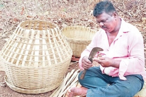 Bamboo and cane craft: The age-old art of the Mahar community in Goa