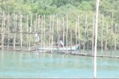 Bamboo crossover construction across Palolem creek stopped