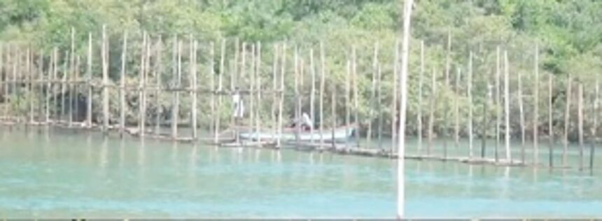 Bamboo crossover construction across Palolem creek stopped 1 Bamboo crossover construction across Palolem creek stopped