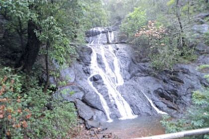 Bamonbudo waterfall at Ambeaghat-Gaondongrim, Canacona, slowly but certainly coming alive.