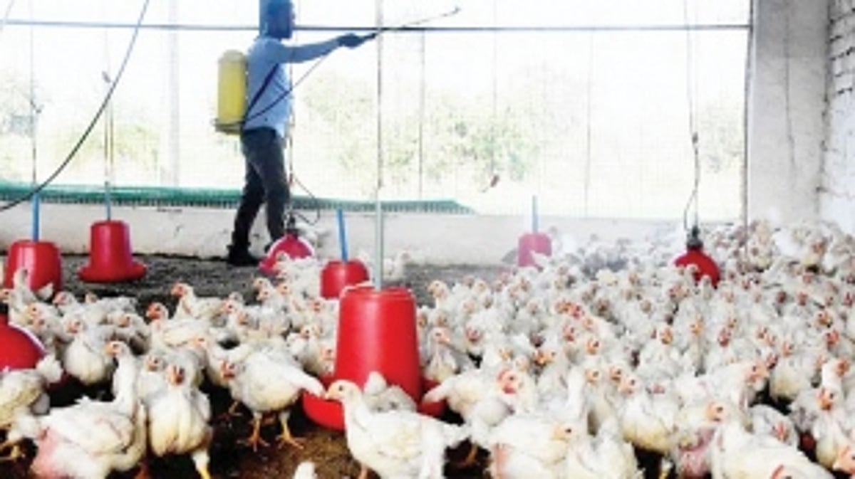 Ban on entry of poultry  worries traders, tourism stakeholders
