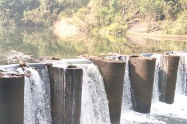 Bandaras on Dudhsagar River overflowing, become picnic spots