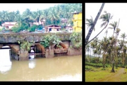 Bandora farmers urge govt to repair sluice gate  to save crops, plantations from damage