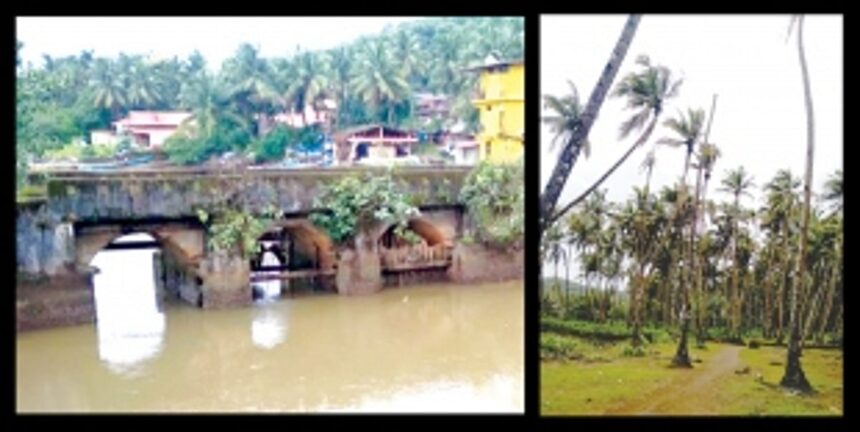 Bandora farmers urge govt to repair sluice gate  to save crops, plantations from damage