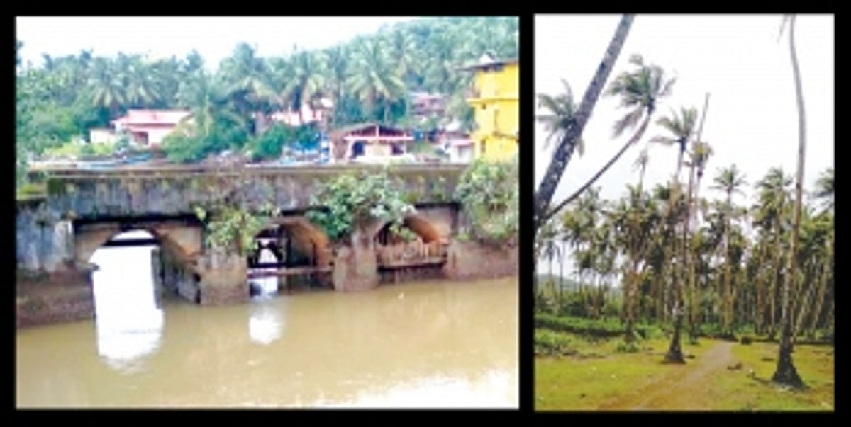 Bandora farmers urge govt to repair sluice gate  to save crops, plantations from damage