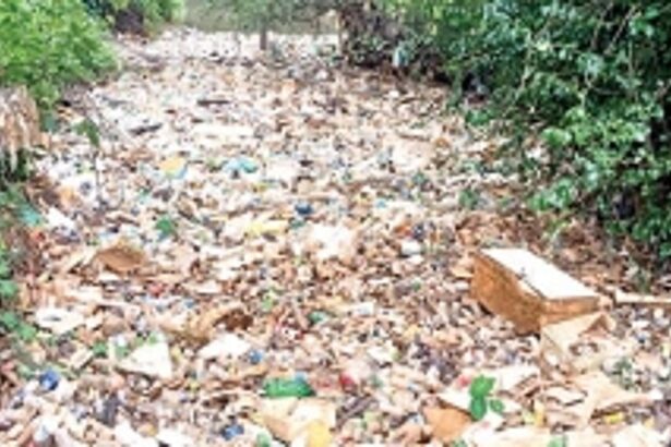 Bandora locals demand clearing of domestic wastes-polluted Ponda main nullah