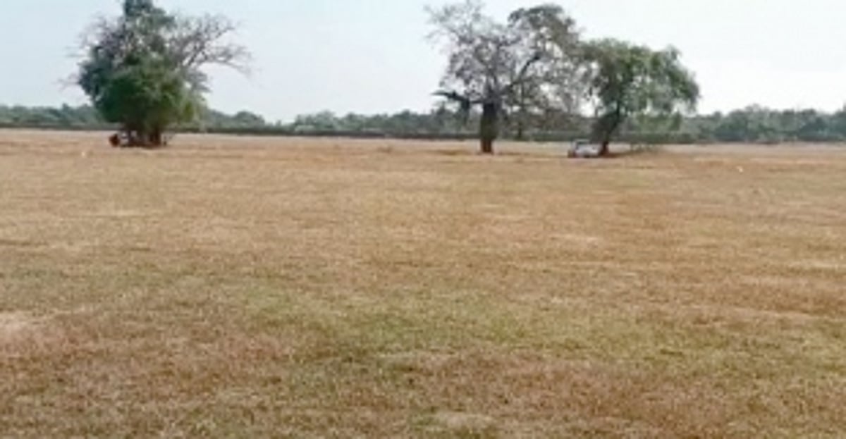 Bandora locals strongly oppose  car racing event on GEC ground