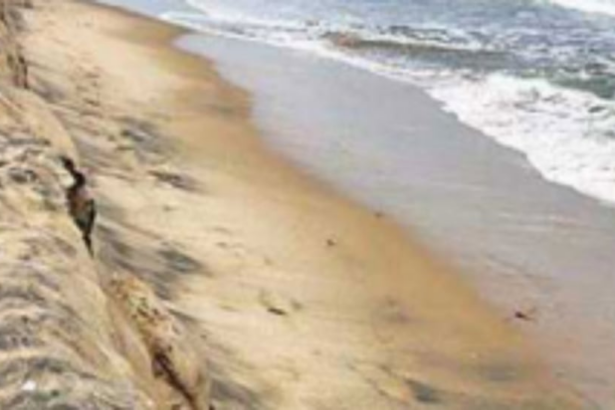 Bandora meeting  rectifies draft CZMP