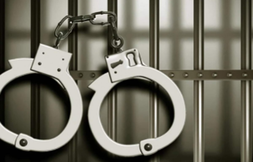 Bangladeshi woman held with fake passport