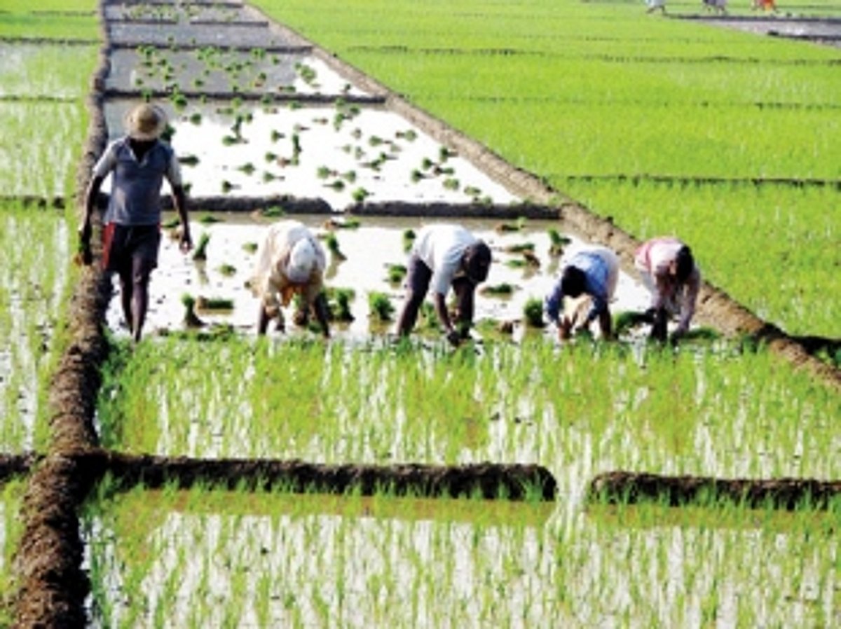 Banking on themselves