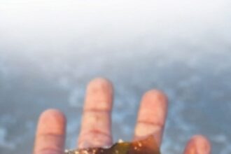 Beach-goers baffled at large quantities of broken glass on Salcete shores