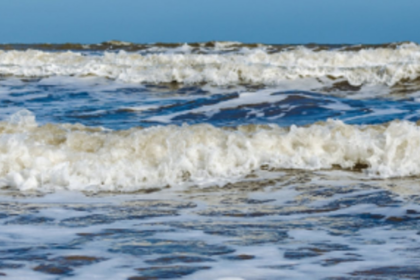Beach visitors advised not to venture into sea till September
