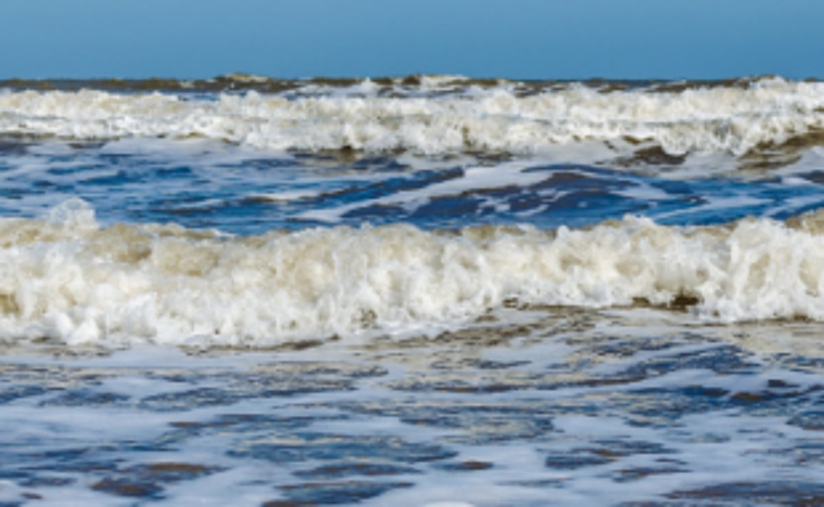Beach visitors advised not to venture into sea till September