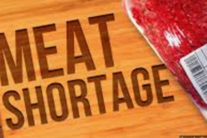 Beef Shortage Hits Goa Ahead of Wedding Season, Restaurants and Caterers Struggle