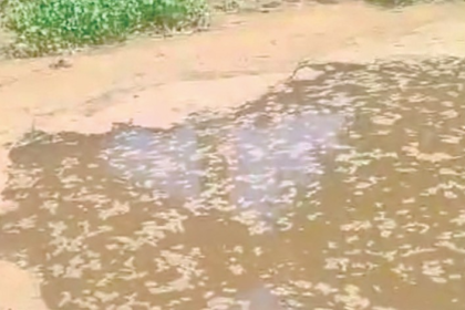 Benaulim Citizens Condemn Illegal Filling of Water Bodies Near Umya Marcado Mall