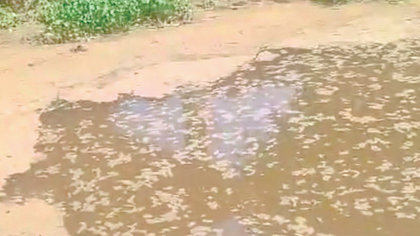 Benaulim Citizens Condemn Illegal Filling of Water Bodies Near Umya Marcado Mall