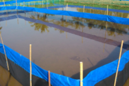 Benaulim fishermen want to be taken into confidence regarding govt’s prawn hatchery project