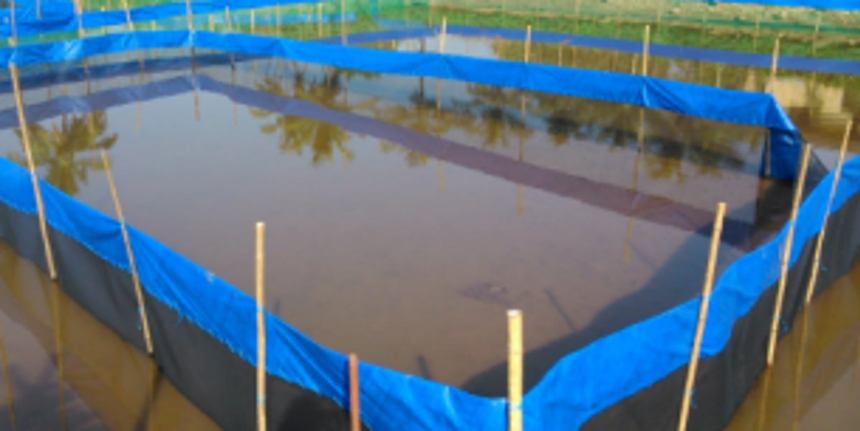 Benaulim fishermen want to be taken into confidence regarding govt’s prawn hatchery project