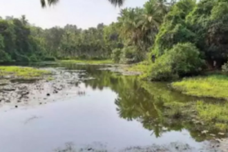 Benaulim locals decry destruction of wetlands, marshes in village