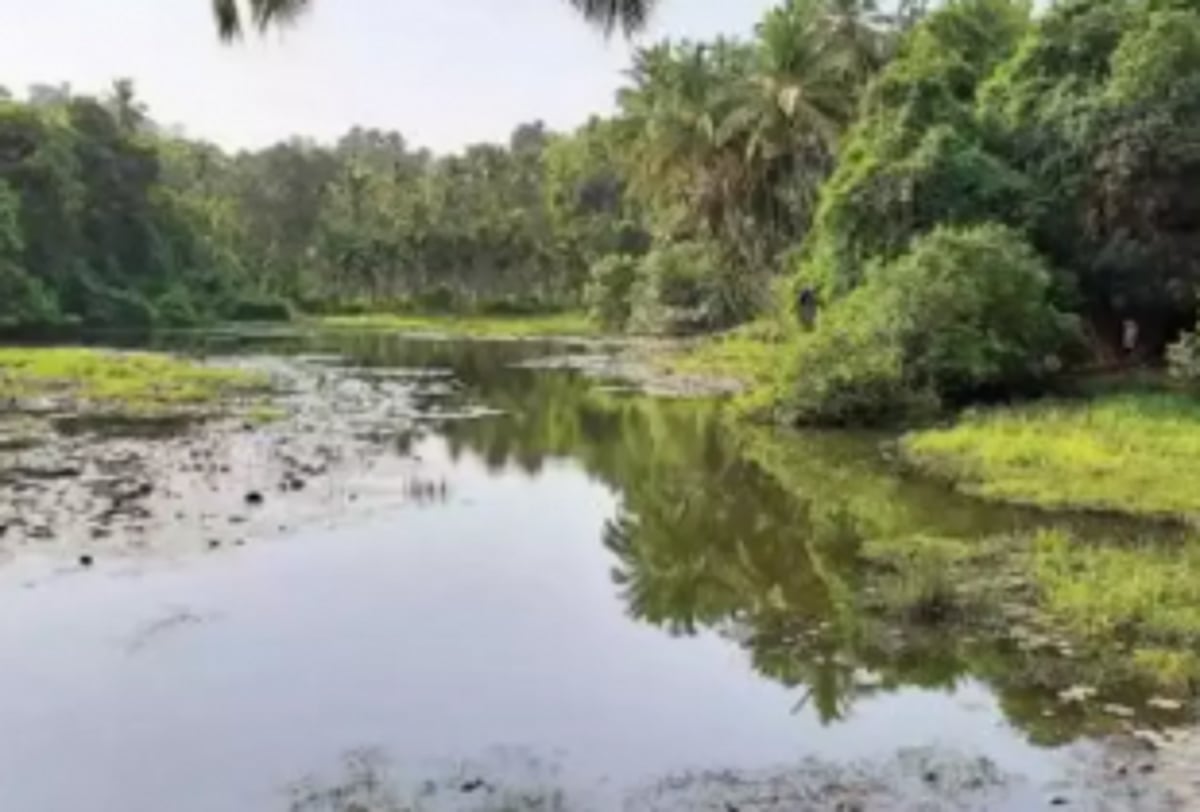 Benaulim locals decry destruction of wetlands, marshes in village