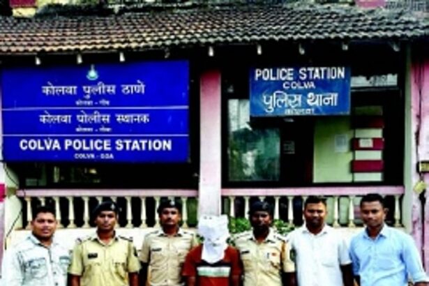 Benaulim murder case: Wife’s lover remanded in nine-day police custody