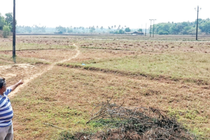 Benaulim's Comunidade Revives Abandoned Farmlands to Reclaim Agricultural Heritage