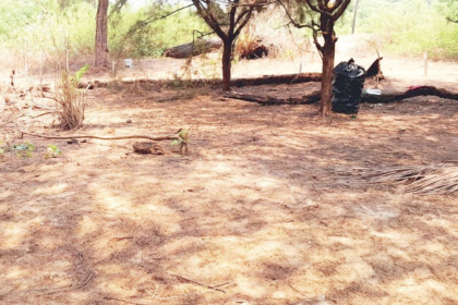 Betalbatim Beach to Introduce Refundable Deposit for Picnickers to Curb Littering