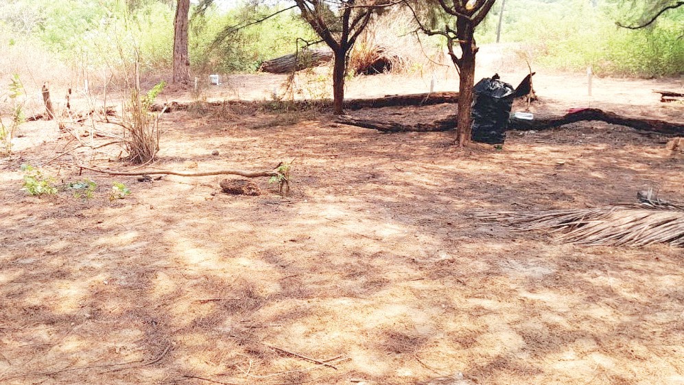 Betalbatim Beach to Introduce Refundable Deposit for Picnickers to Curb Littering