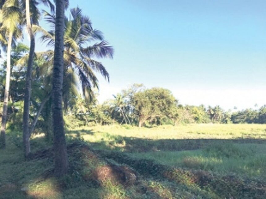 Betalbatim lake in awful state