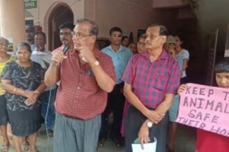 Betalbatim locals protest villa project over infra issues, water pollution fears