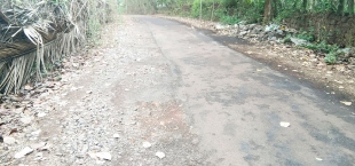 Bethora roads in bad shape