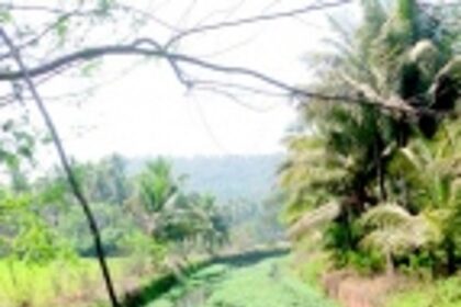 Bethora villagers blame beverage unit for polluting nullah