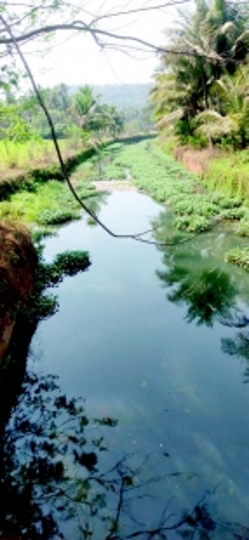 Bethora villagers blame beverage unit for polluting nullah