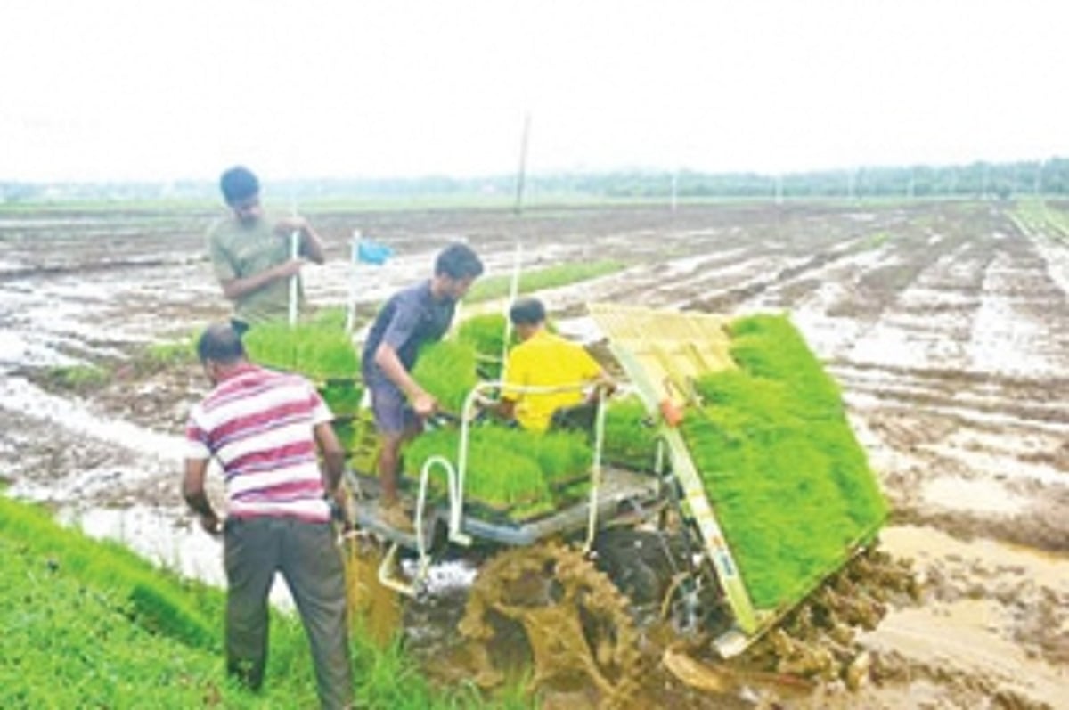 Beyond mining: There’s wealth in our farms,  for all of us