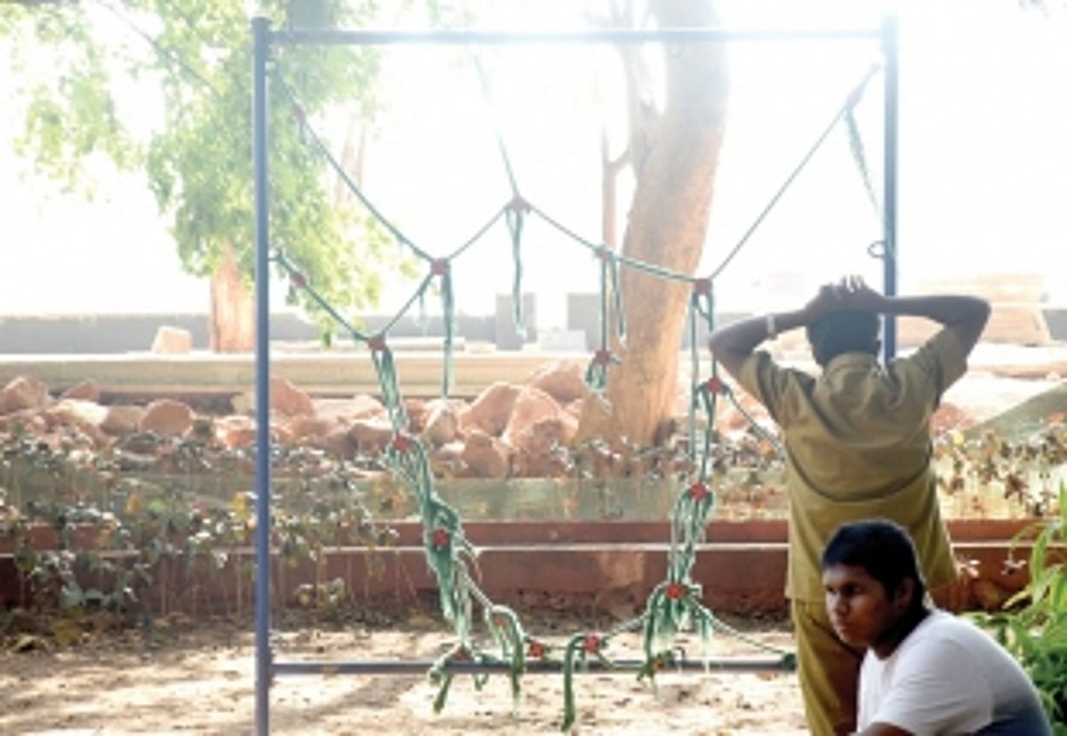 Bhagwan Mahavir Park cries for attention; no more safe play place for children